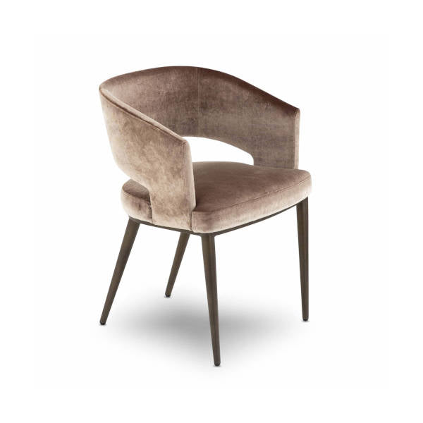 Elite Modern Dining Chairs