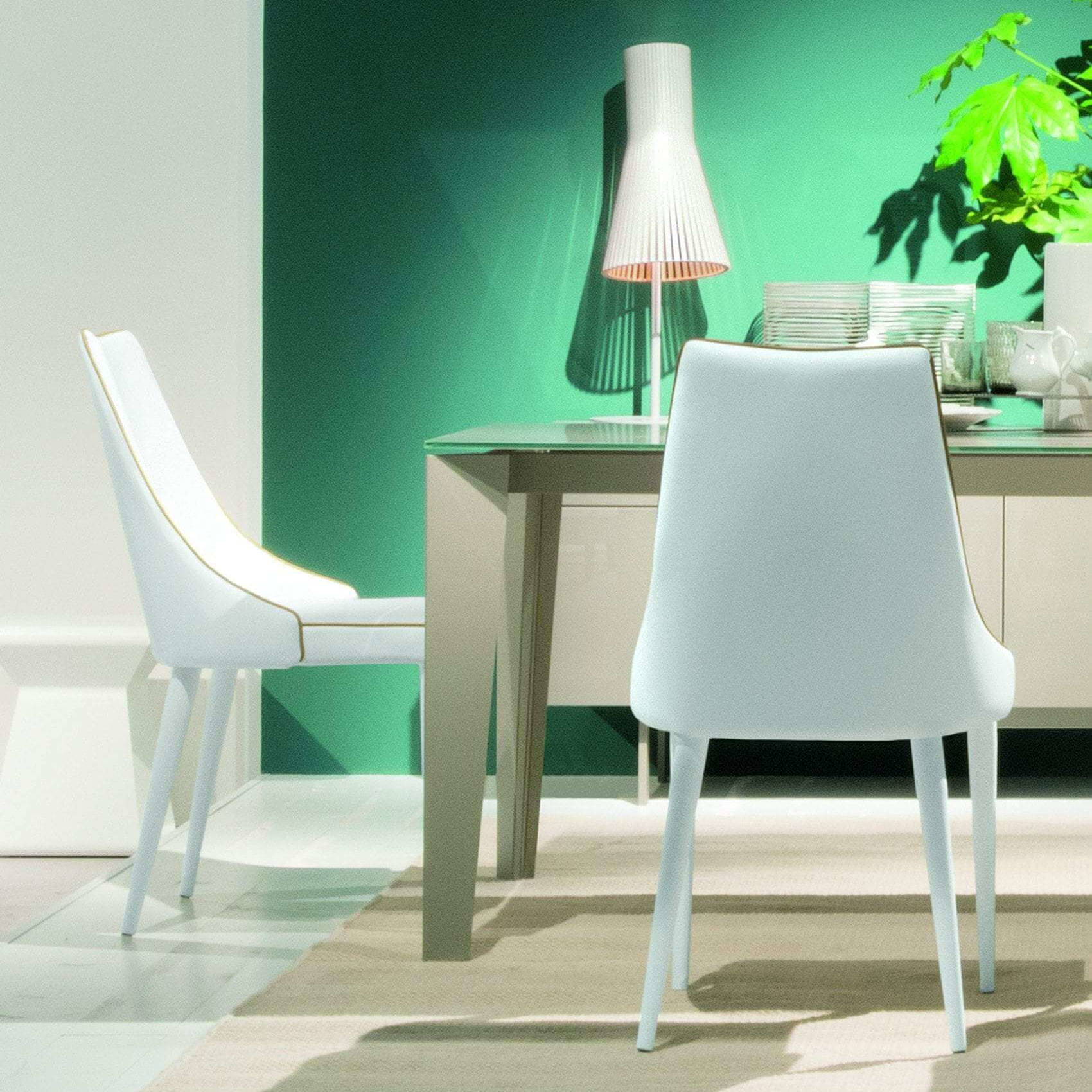 Modern Dining Chairs