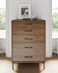 BDI Linq 5 Drawer Chest