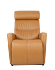 Fjords Milan Lift Recliner Chair