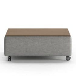 Luonto Functional Coffee Table