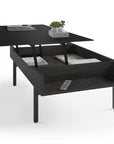 BDI Reveal Lift-Top Coffee Table