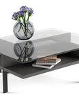 BDI Terrace Rectangular Coffee Table