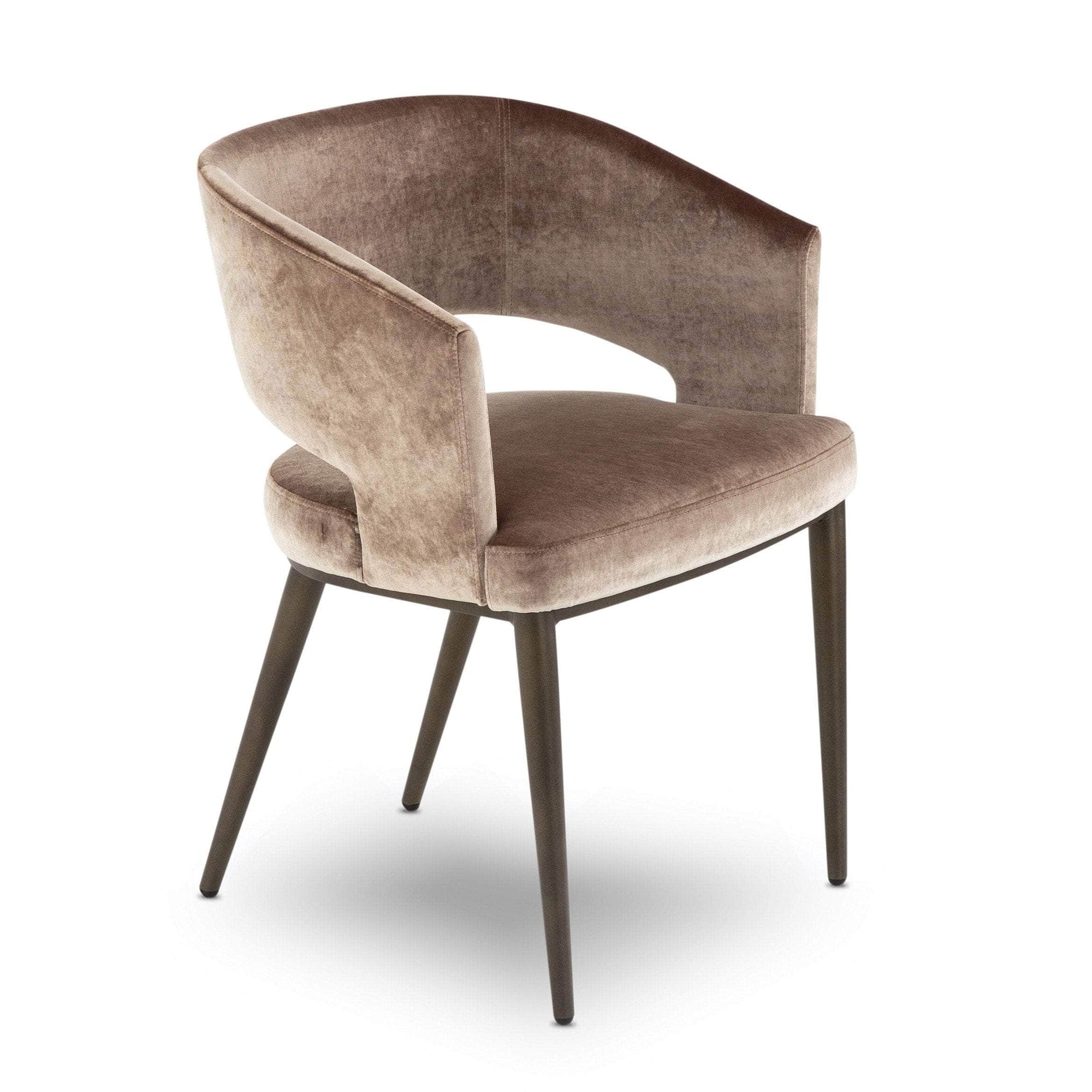 Elite Modern Circa Dining Chair