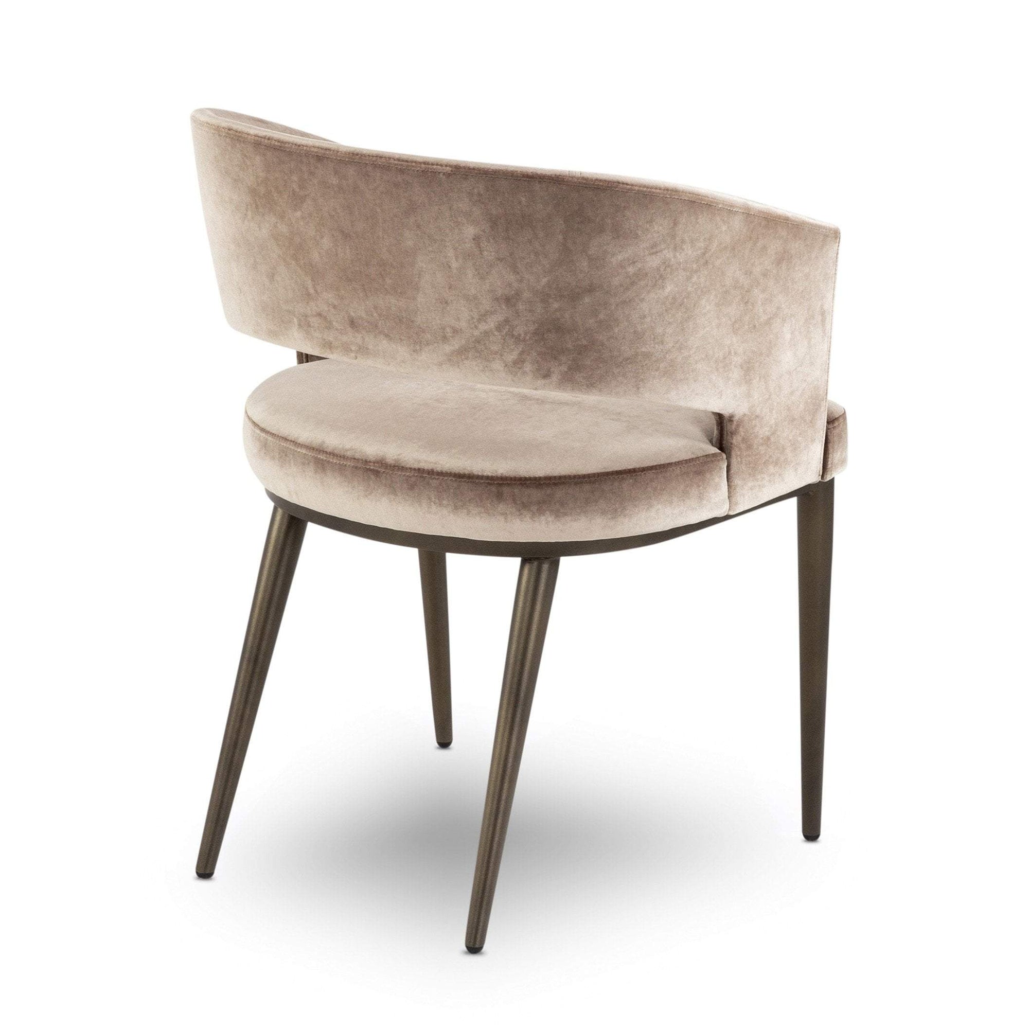 Elite Modern Circa Dining Chair