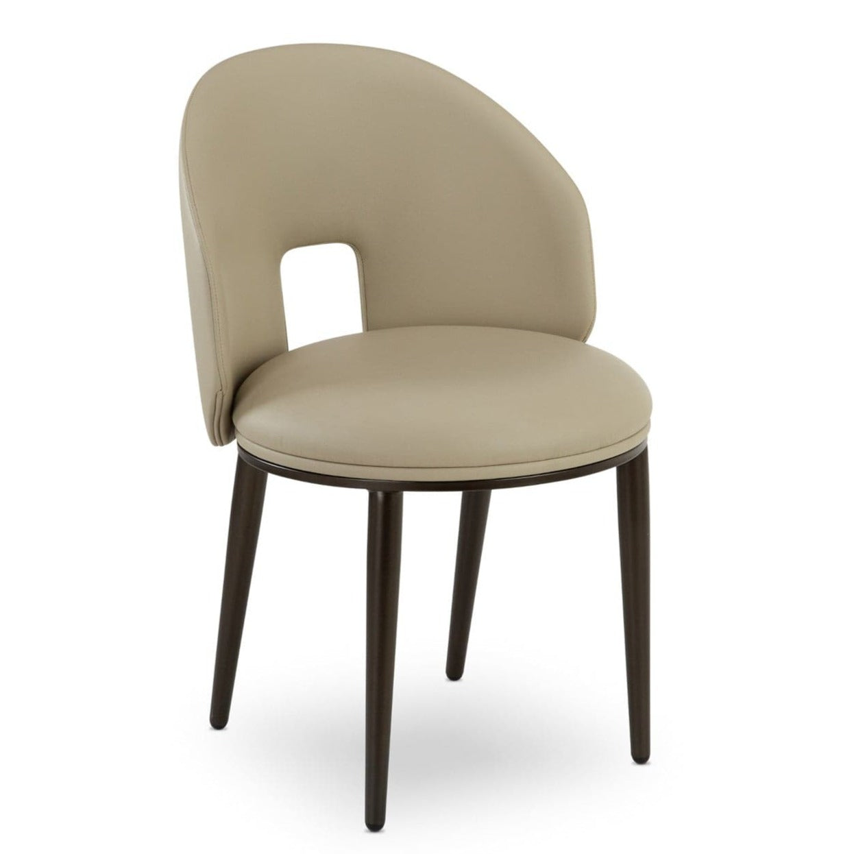 Elite Modern Clay Dining Chair