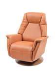 Stressless Max Recliner